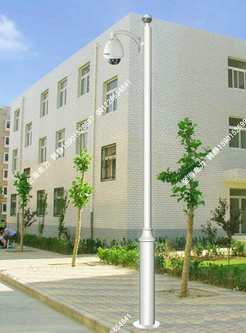 河北金海供应坚固耐用监控杆 赋能智慧安防新基建
